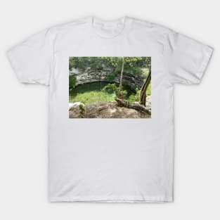 Iguana and Cenote T-Shirt